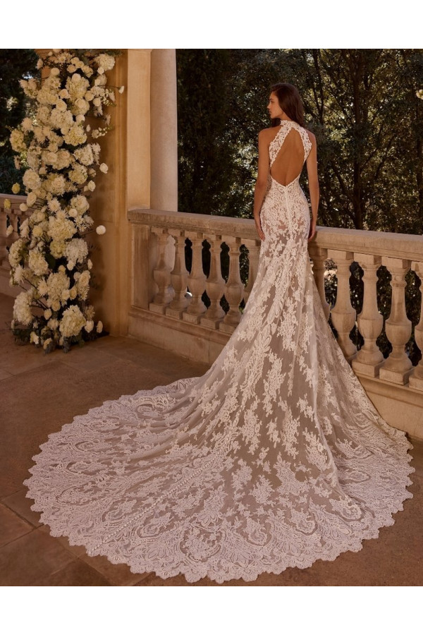 CERES Alberto Palatchi